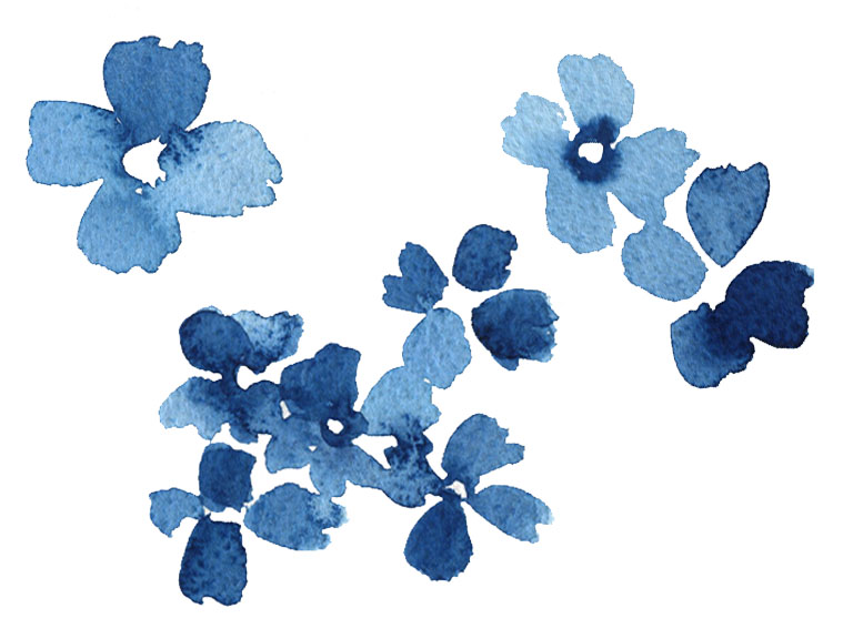 4 petal flower heads painted in watercolour