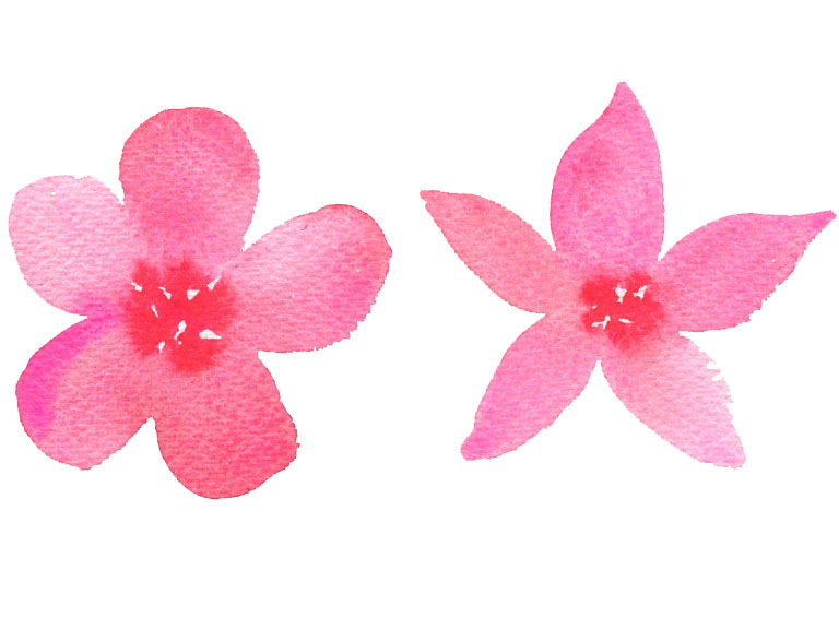 5 petal flowers shapes - two examples in watercolour painting