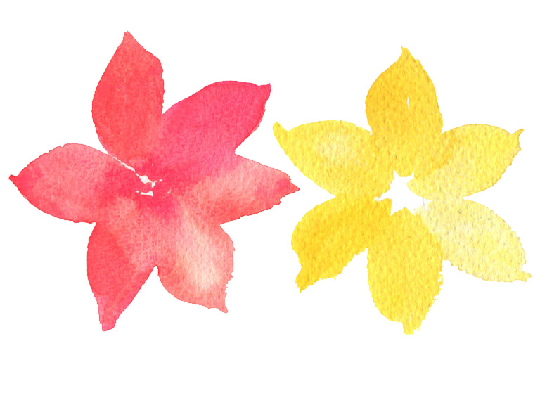 6 petal flower shape in watercolour painting