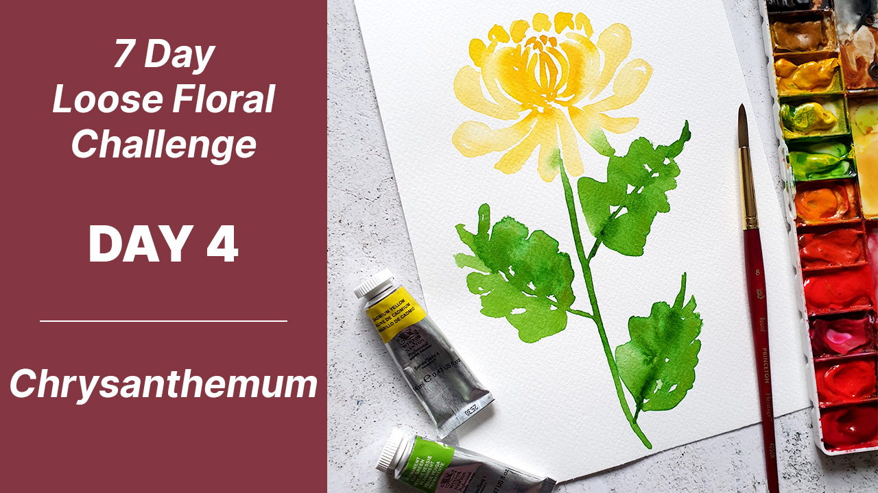 7 day floral challenge watercolor day 4 chrysanthemum