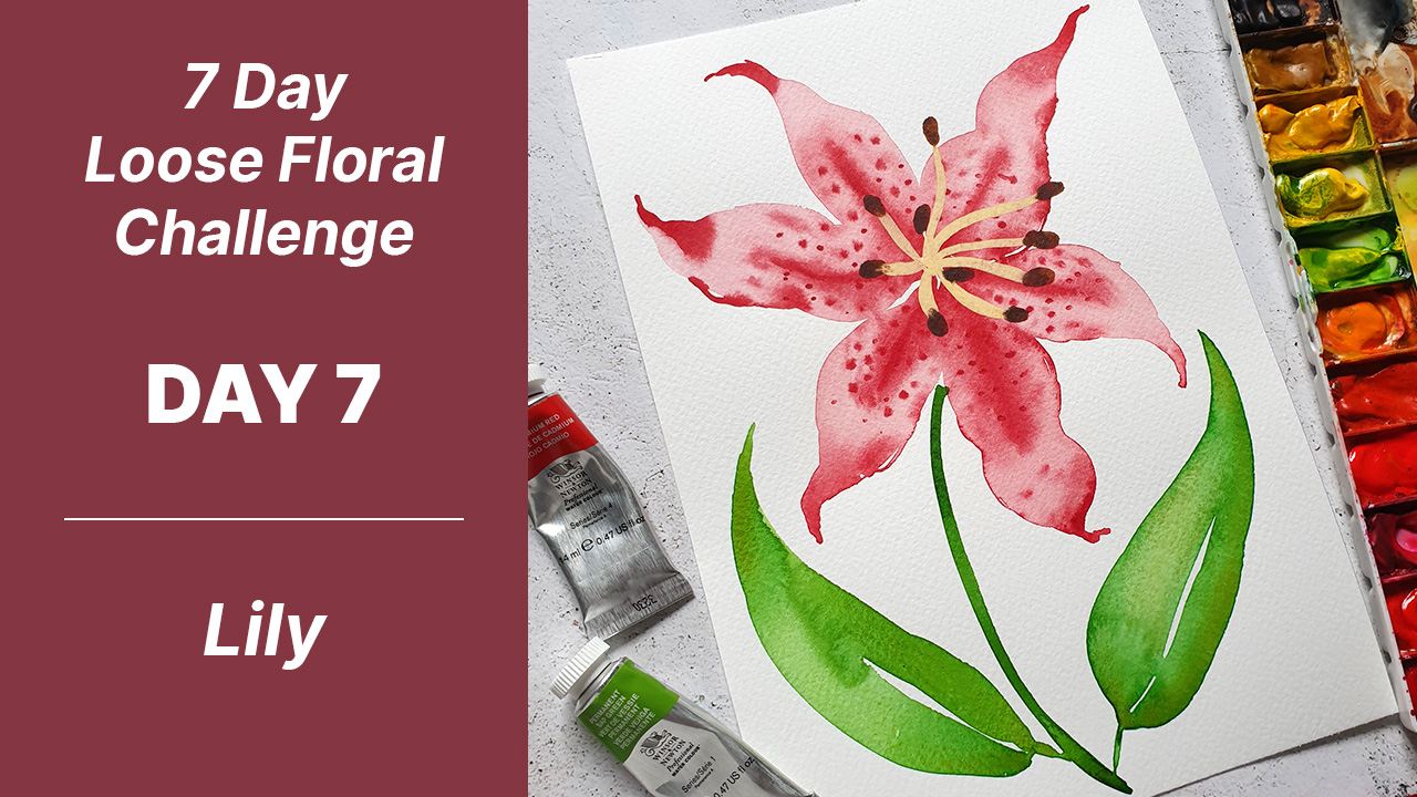 7 day floral challenge watercolor day 7 lily