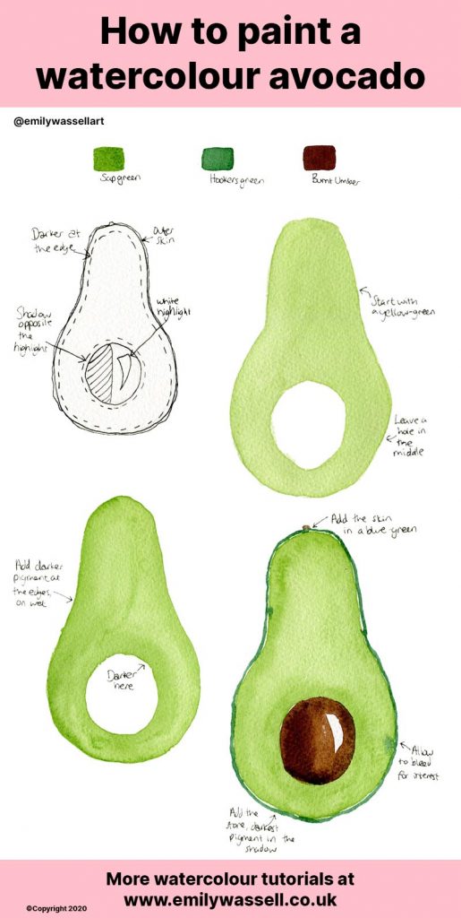 How-to-paint-a-watercolour-avocado-emily-wassell