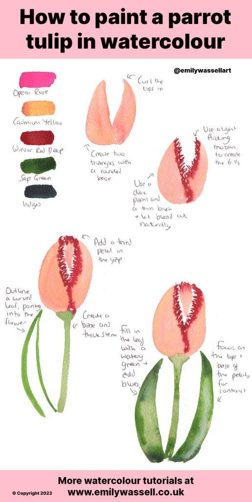 how to paint a parrot tulip watercolor