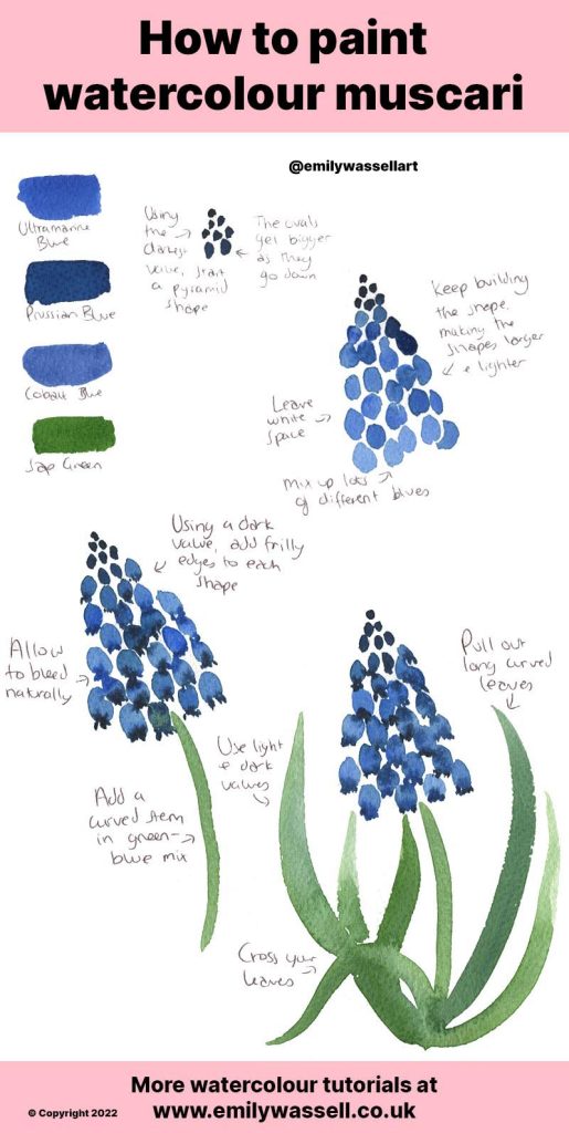 how to paint muscari grape hyacinth flowers