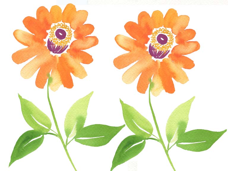 tutorial watercolor zinnia flowers