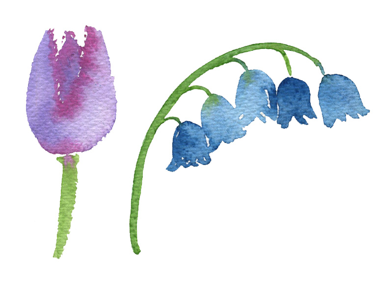 bell and cup shaped flowers painted in watercolour