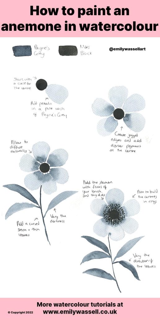 how to paint an anemone flower in watercolor