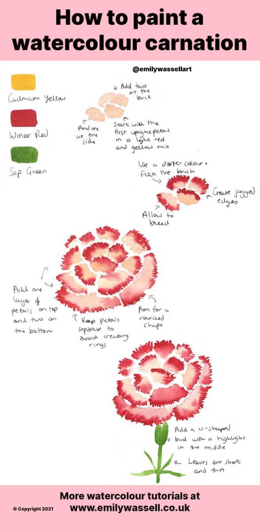 how to paint a carnation flower in watercolor