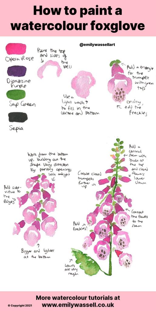 how to paint foxgloves in watercolor