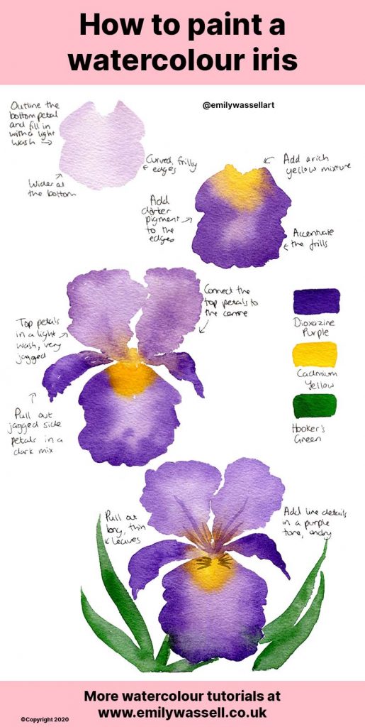 how-to-paint-a-watercolour-iris