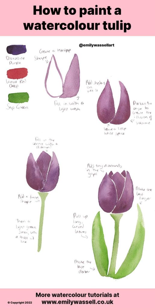 how to paint tulips in watercolor