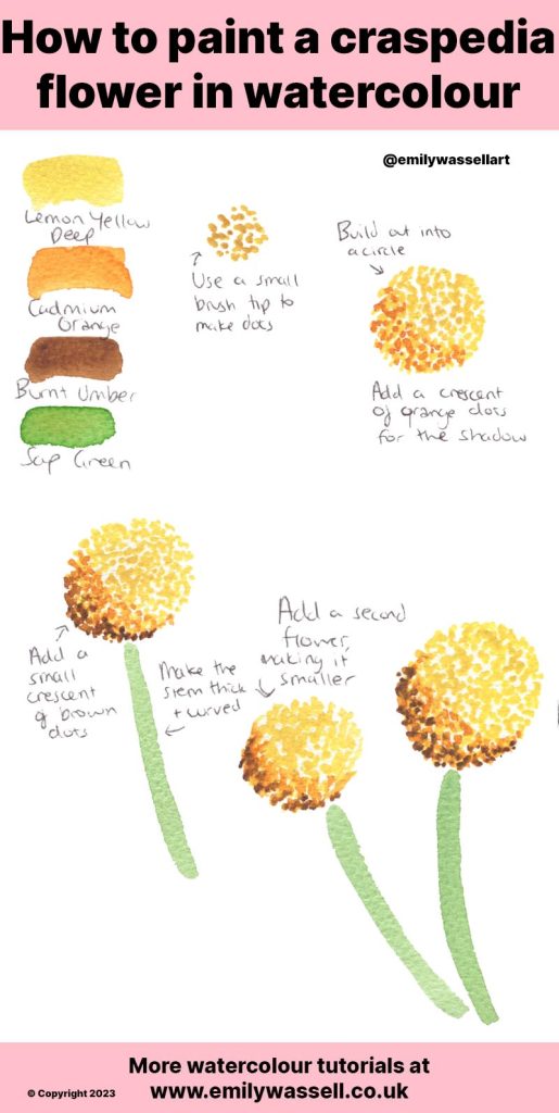 tutorial how to paint craspedia flowers watercolour