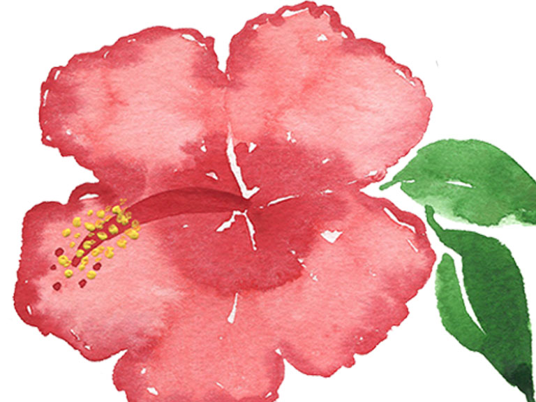 tutorial how to paint a hibiscus flower