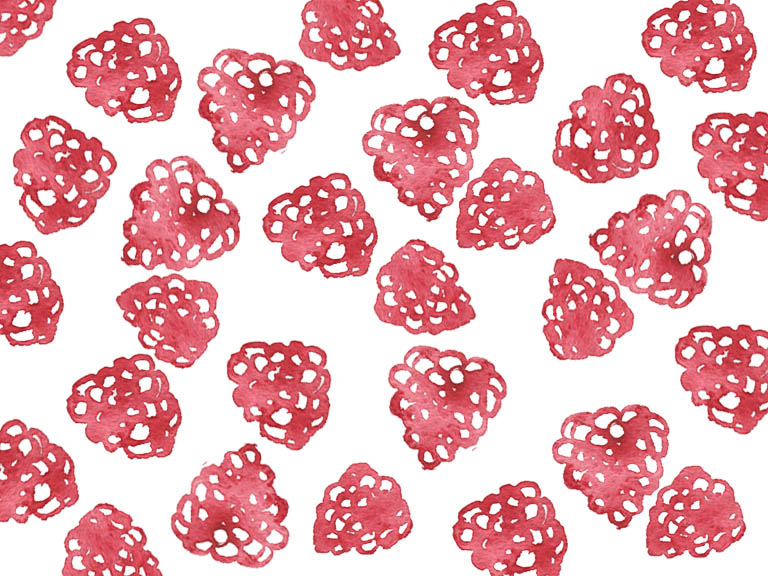 raspberries in watercolour tutorial