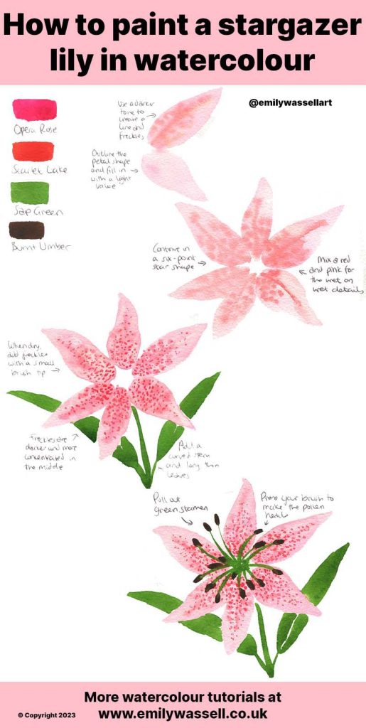 how to paint stargazer lily flowers