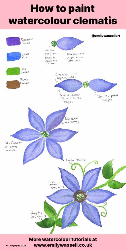 how to paint a clematis flower watercolor