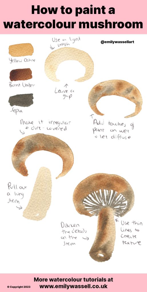 tutorials how to paint mushrooms in watercolour