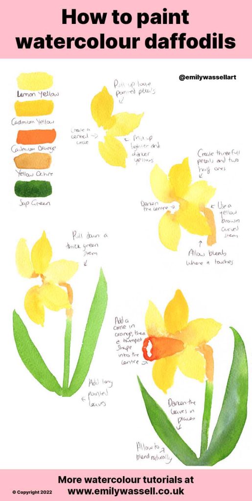 tutorial how to paint daffodils in watercolor