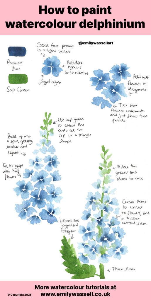 how to paint delphinium flowers in watercolor