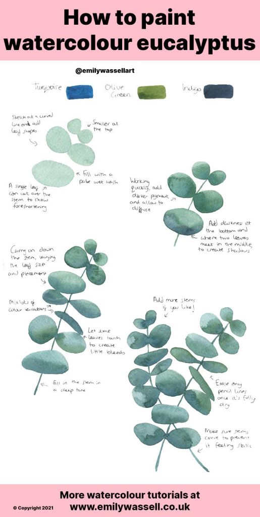 how to paint eucalyptus leaves watercolor