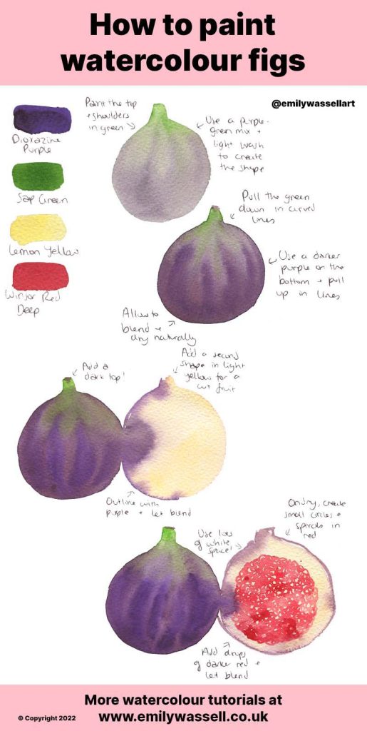 how to paint figs in watercolor