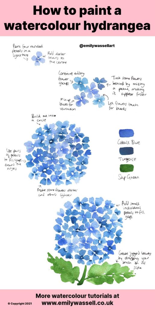 tutorial how to paint hydrangeas in watercolor