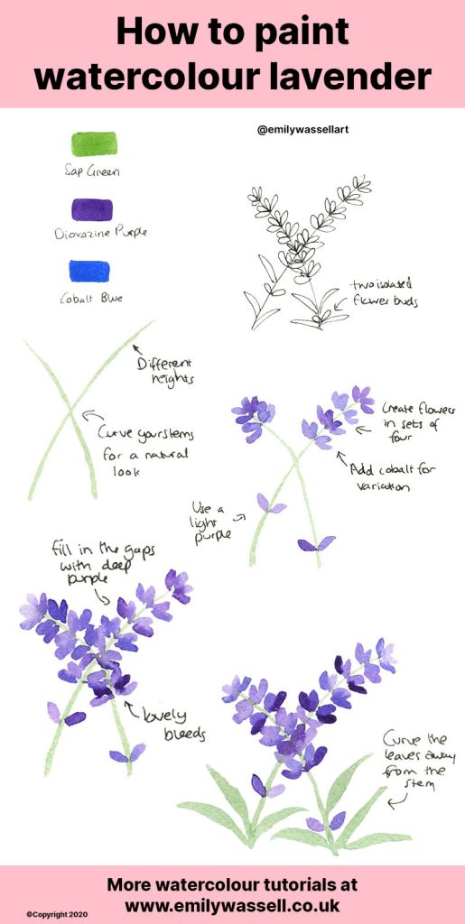 how to paint lavender in watercolor