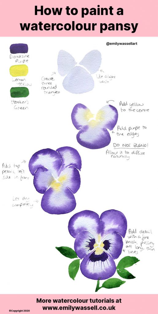 watercolor-pansy-tutorial