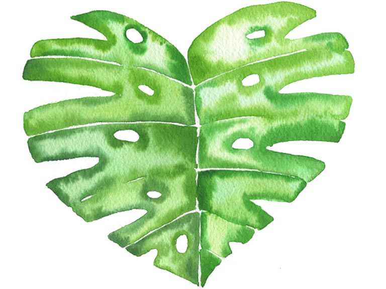 monstera leaf painting