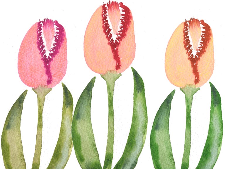 watercolor parrot tulips tutorial