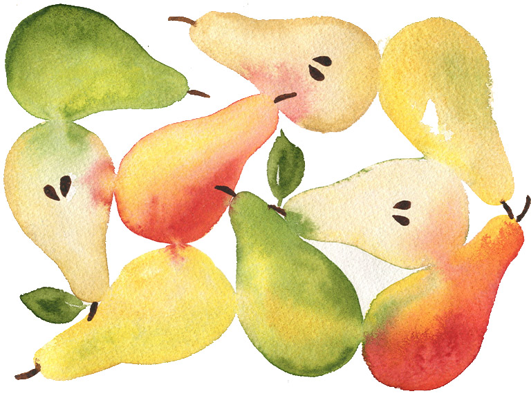 pears painted in watercolour