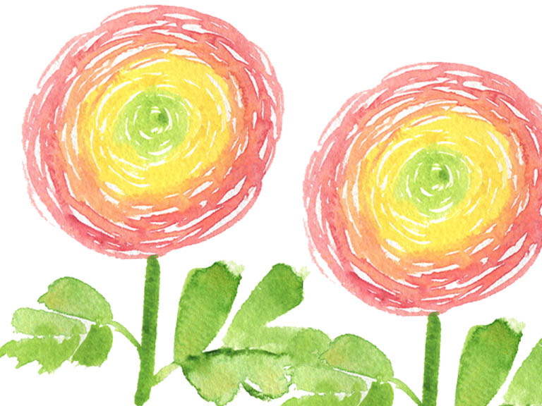 ranunculus flowers painting tutorial