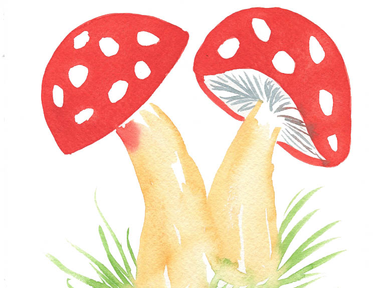 tutorial how to paint a watercolor toadstool