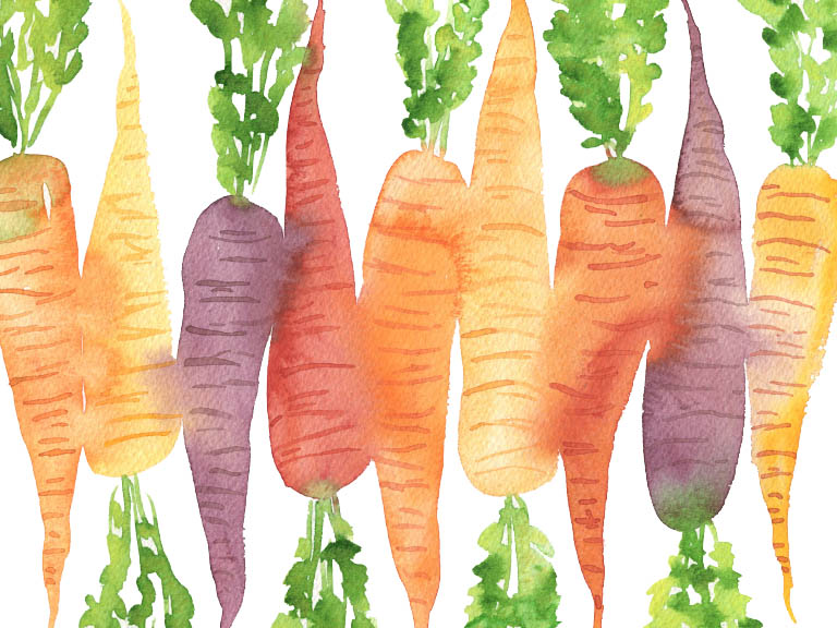 tutorial how to paint carrots watercolour