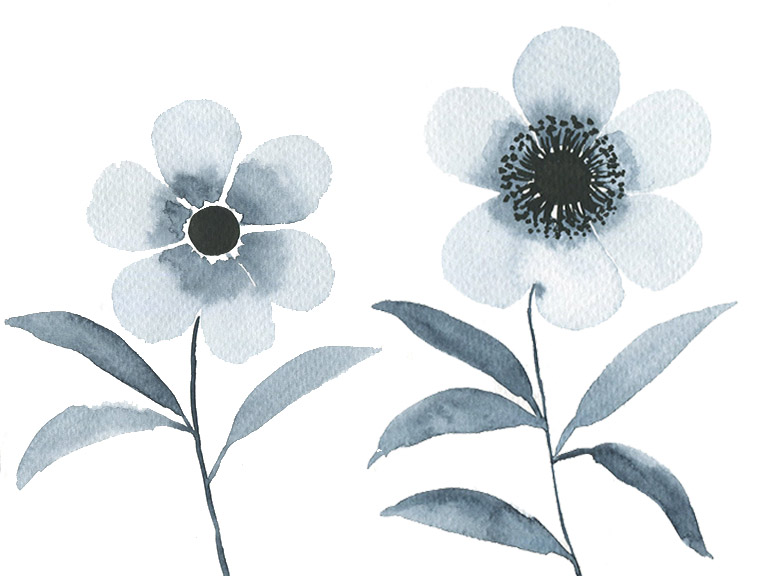 watercolor anemone flower tutorial