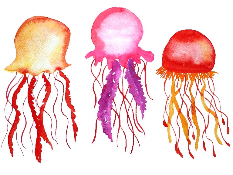 easy watercolour jellyfish paintings