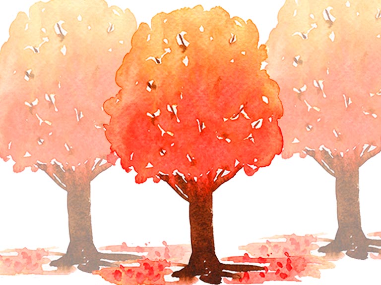 watercolour fall autumn trees