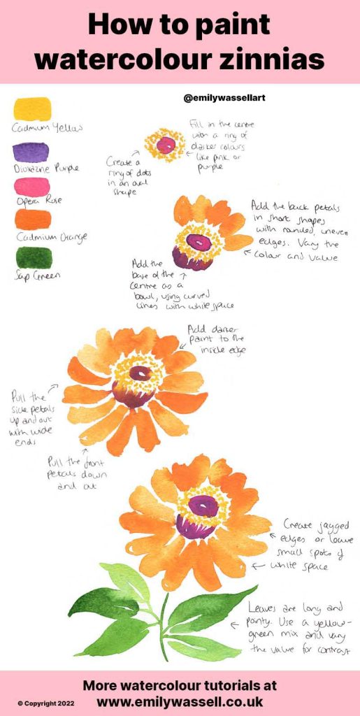 how to paint zinnia flowers watercolor