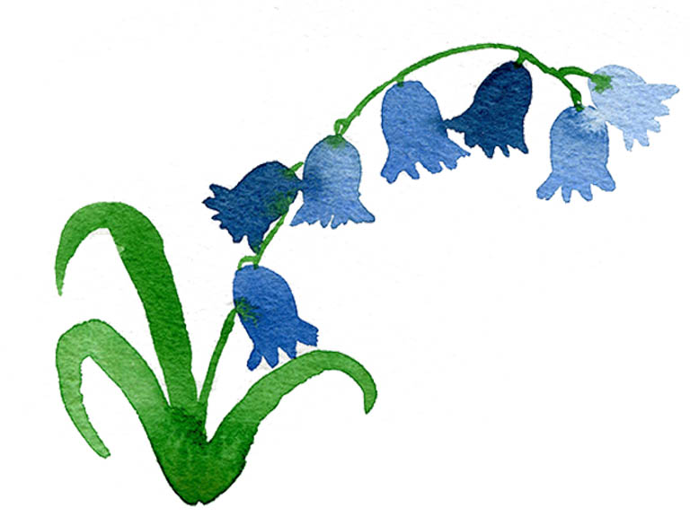 watercolour tutorial paint a bluebell