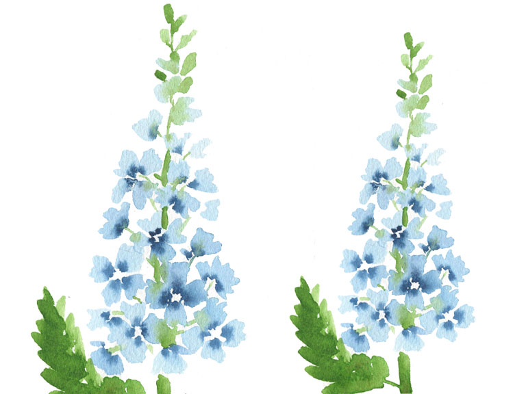 watercolour tutorial delphinium flowers