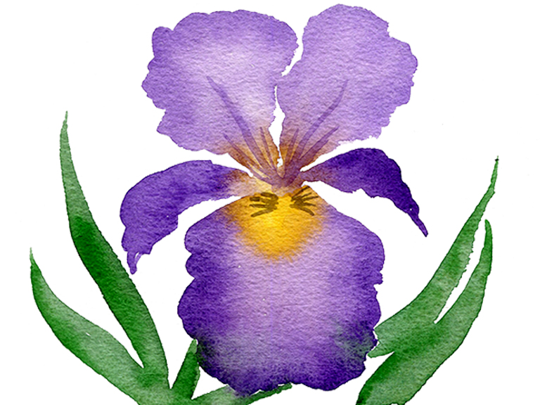 watercolour-iris-painting-tutorial