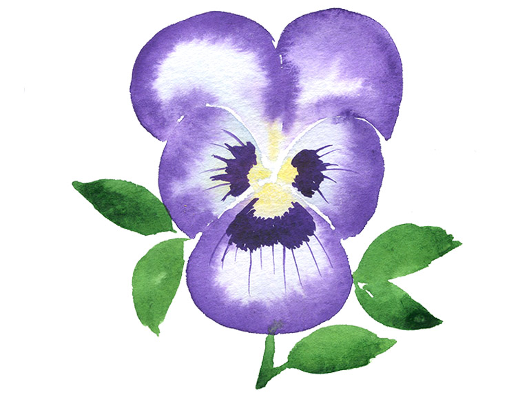 watercolor-pansy-flower-tutorial