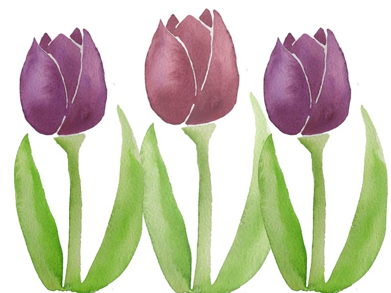 tulip watercolour tutorial